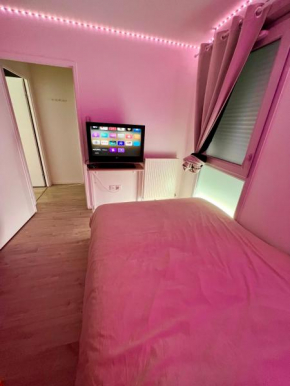 Chambre à louer avec salle de bain privative